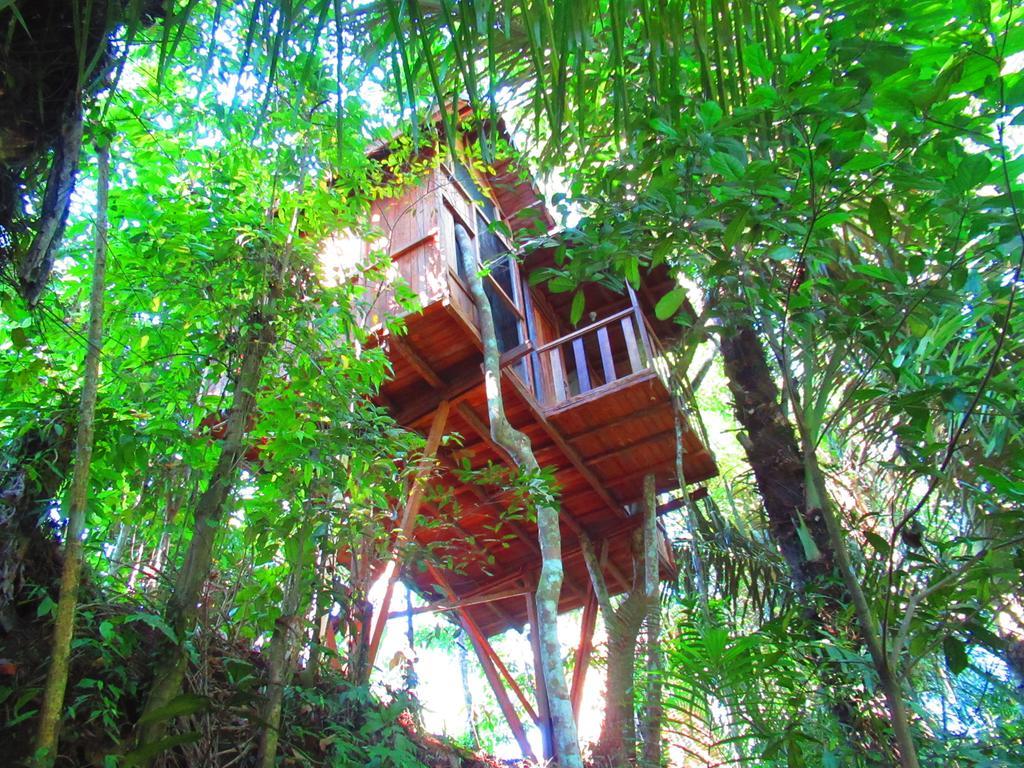 Hars Garden Tree Houses Hotel Ubud  Luaran gambar