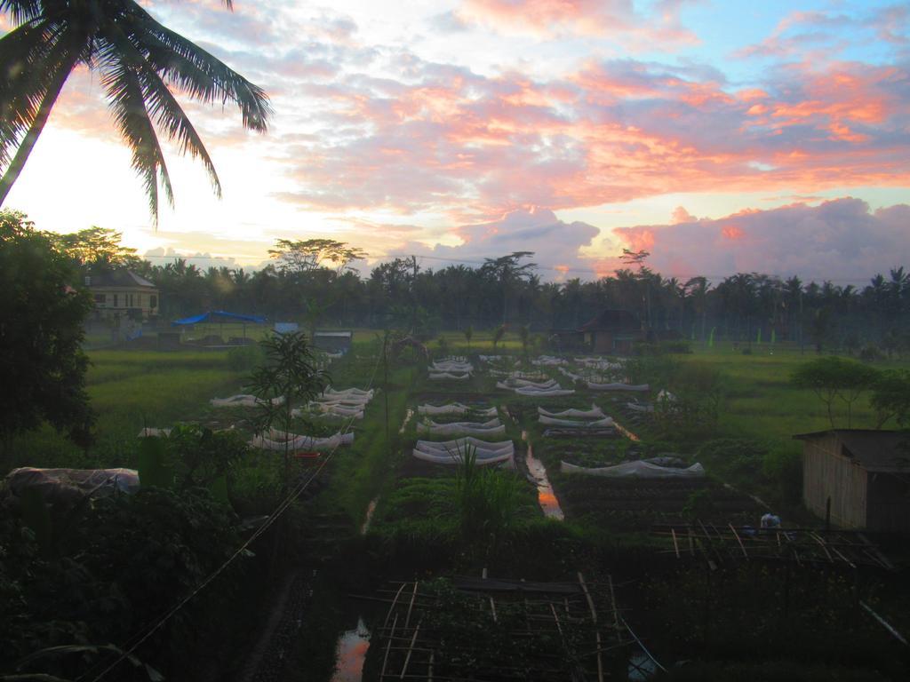 Hars Garden Tree Houses Hotel Ubud  Luaran gambar